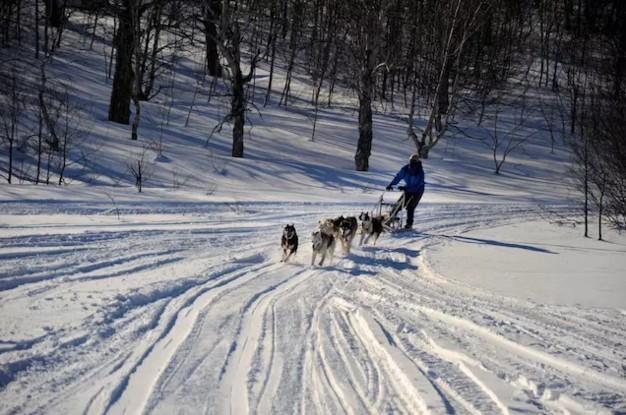 為什么那些線上起家的旅行服務(wù)商，都紛紛做起了地接？