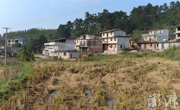 “小馬云”之父：網(wǎng)上都是謠言！讀書才能改變命運