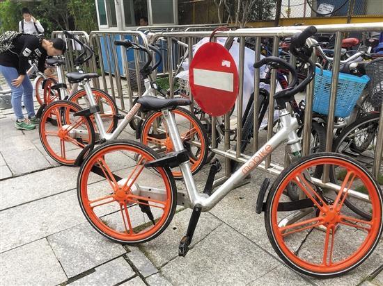 網(wǎng)約單車(chē)尷尬：車(chē)身貼騙錢(qián)二維碼，管理靠“獵人”