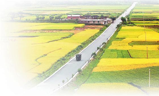 中央1號文件連續(xù)15次提及農(nóng)村物流 農(nóng)村物流用春天來了