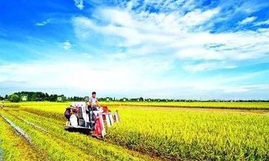 今年中國大農業(yè)要做這幾件大事兒！