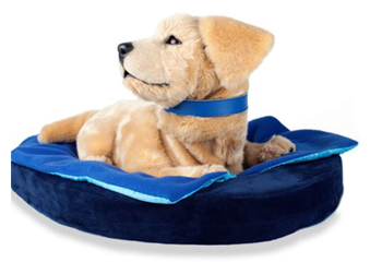 機(jī)器人能否拯救全球老齡化問題?